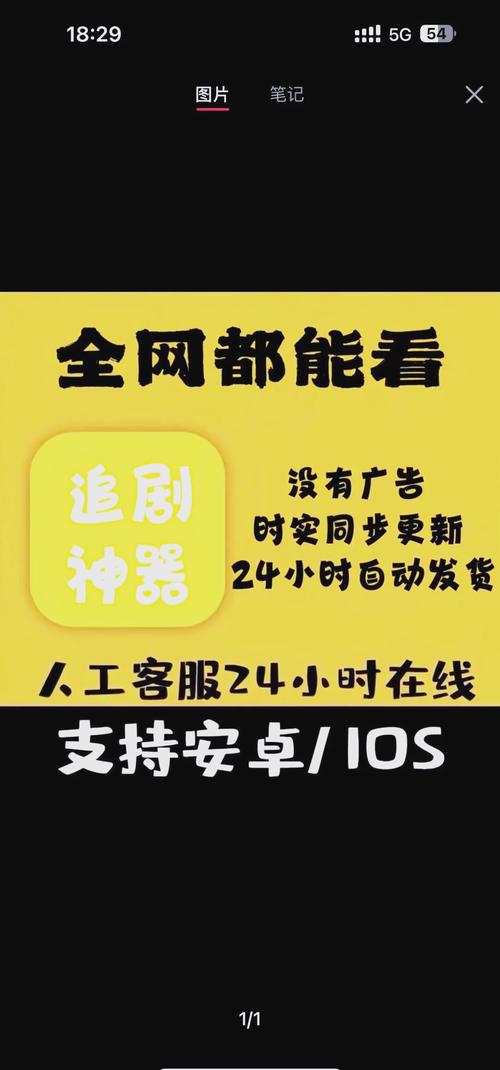 男女大尺度视频在线观看的相关介绍
