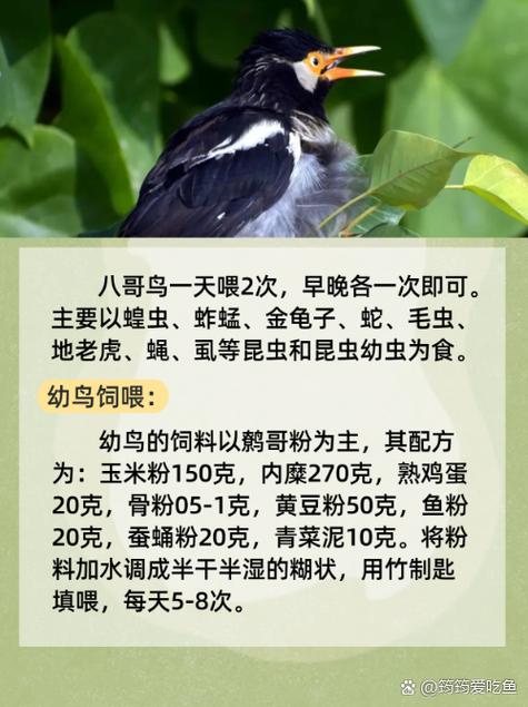 男女大尺度动漫的相关介绍