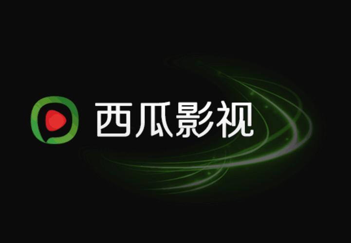 久久久国产激情的相关介绍