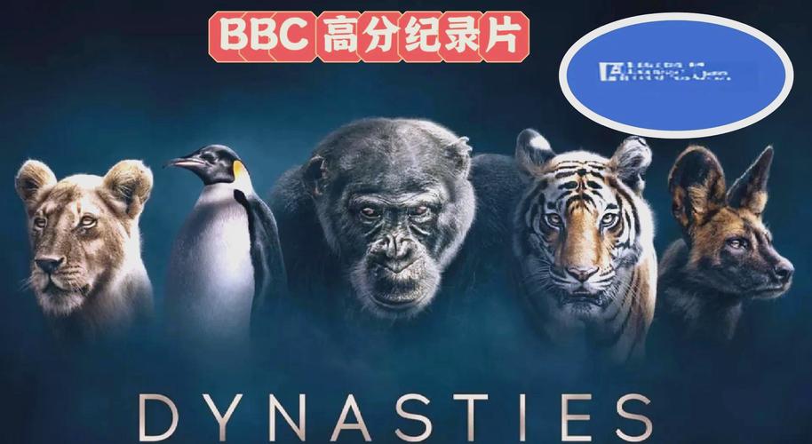 迅雷影院下载的相关介绍