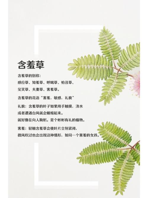 圆房调教(高h,的相关介绍