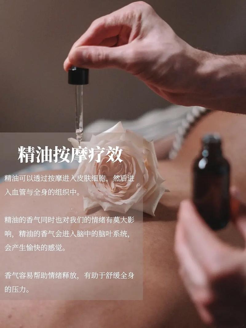 操美女少妇出白浆的相关介绍