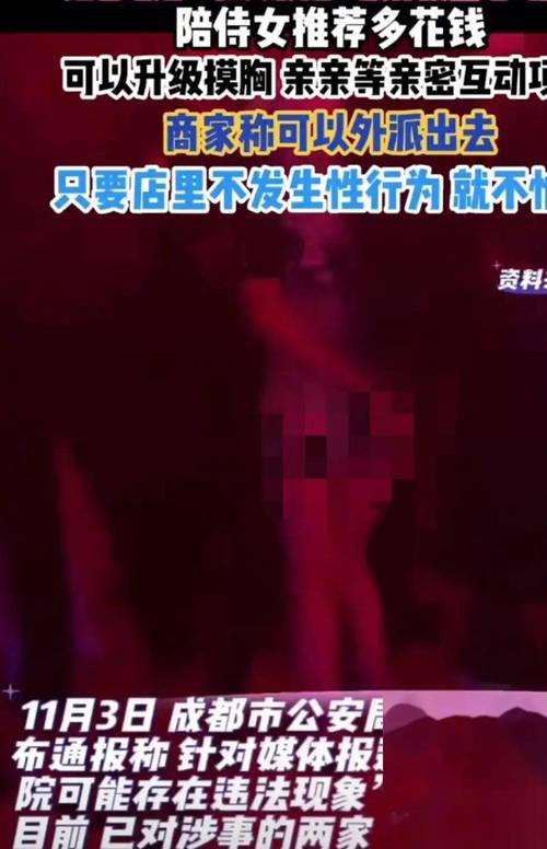 成人色情影院的相关介绍