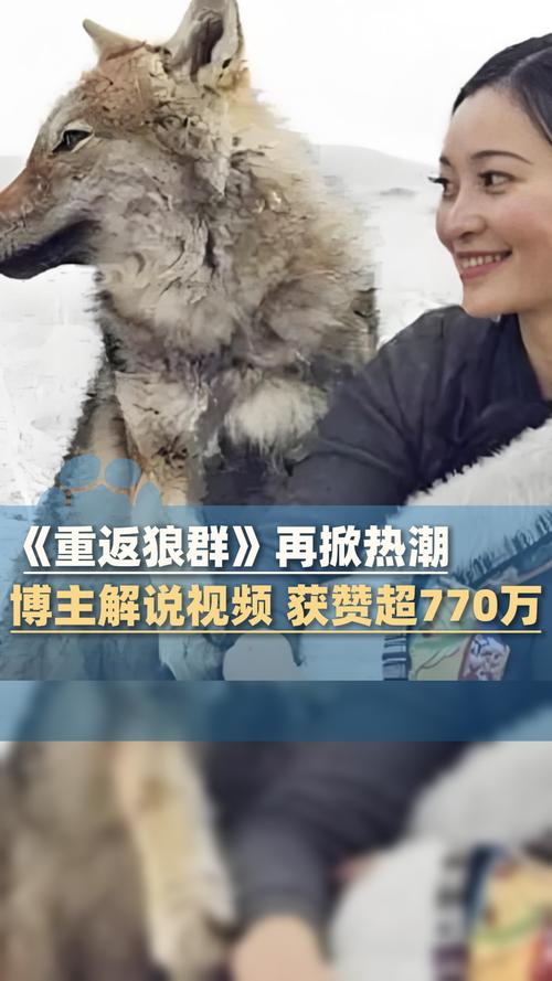 最近电影院上映的电影的相关介绍