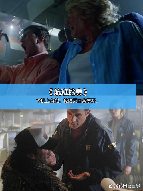 秋霞电影院网伦霞韩国的相关介绍