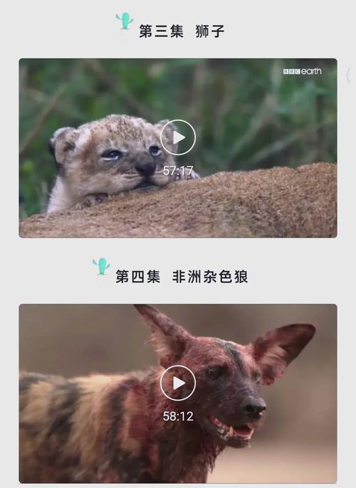 日本东京精油按摩视频的相关介绍