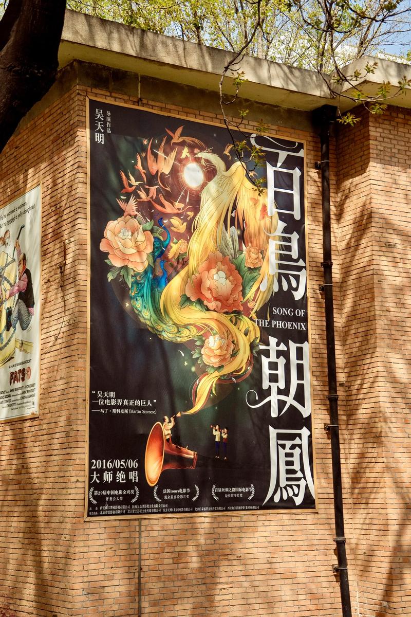 国模大尺度写真图的相关介绍