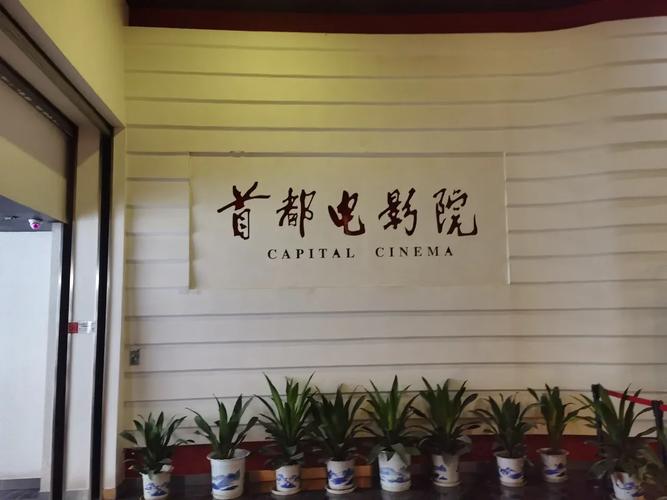 18禁网站直接看的相关介绍