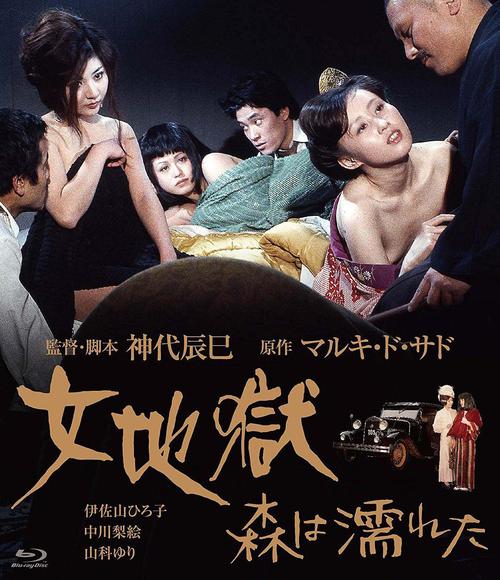 欧美老熟妇aa的相关介绍