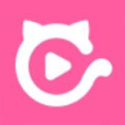 夜猫电影院的相关介绍
