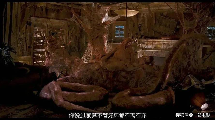 18岁少女毛片在线看的相关介绍