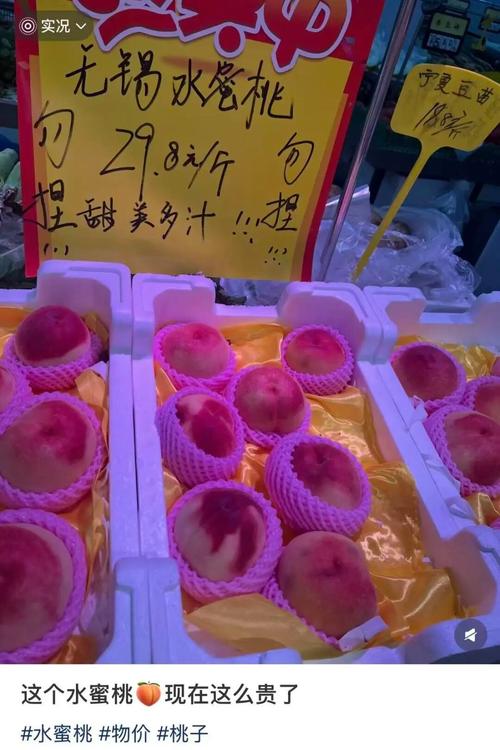 酒店爆操内射的相关介绍