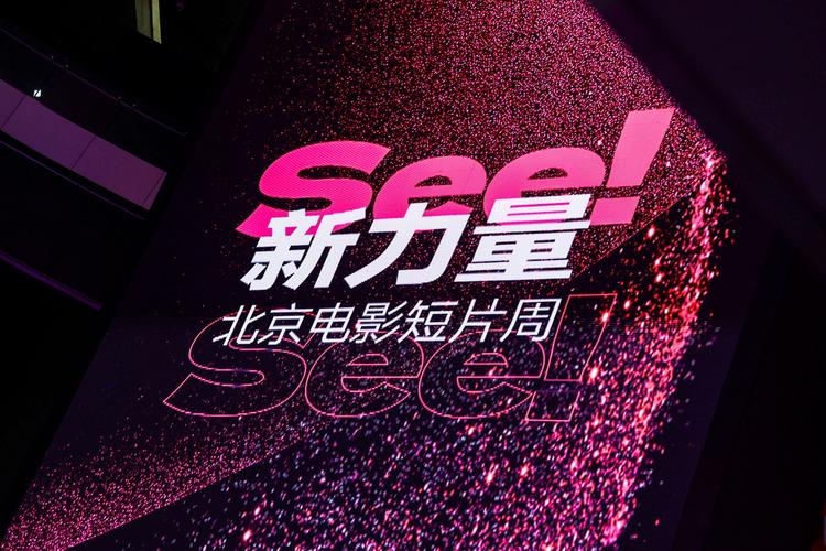 屁股眼的菊蕾可以高潮吗的相关介绍