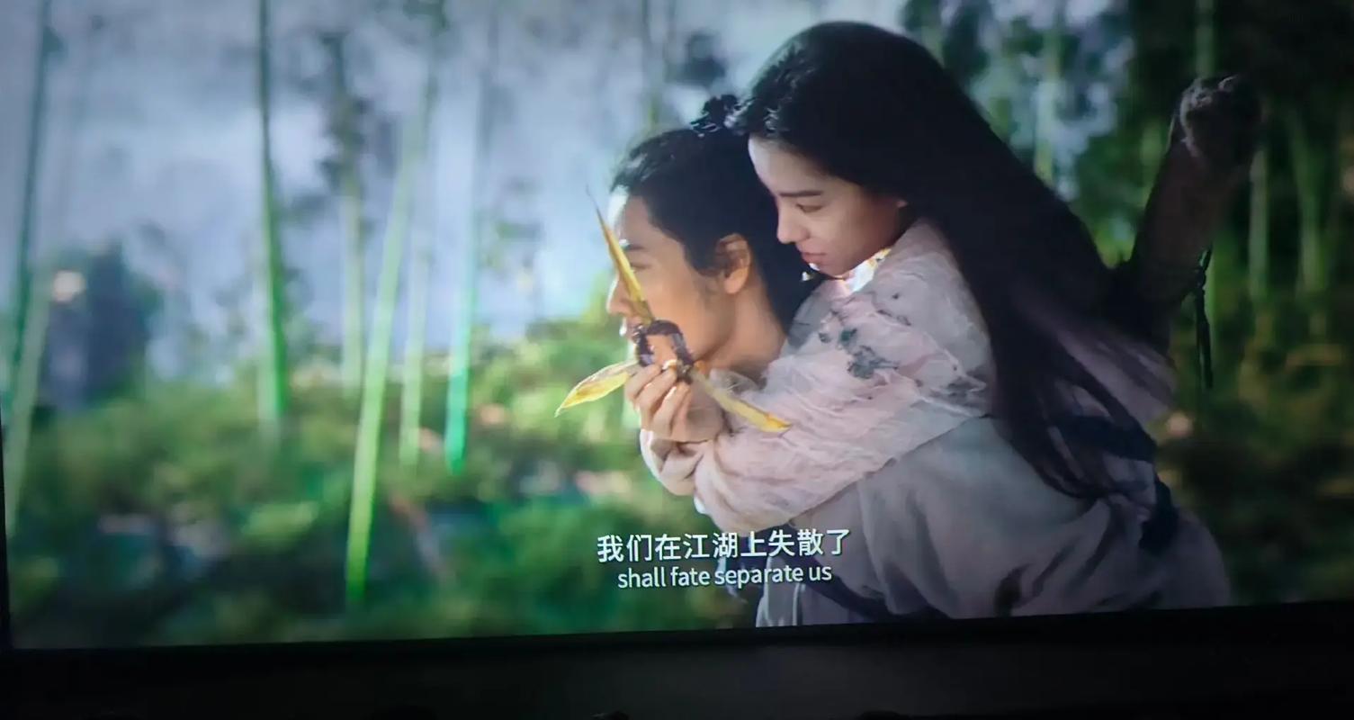 欧美老熟妇乱xxxxx的相关介绍
