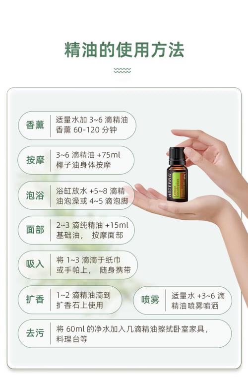 4080新视电电影院大全的相关介绍