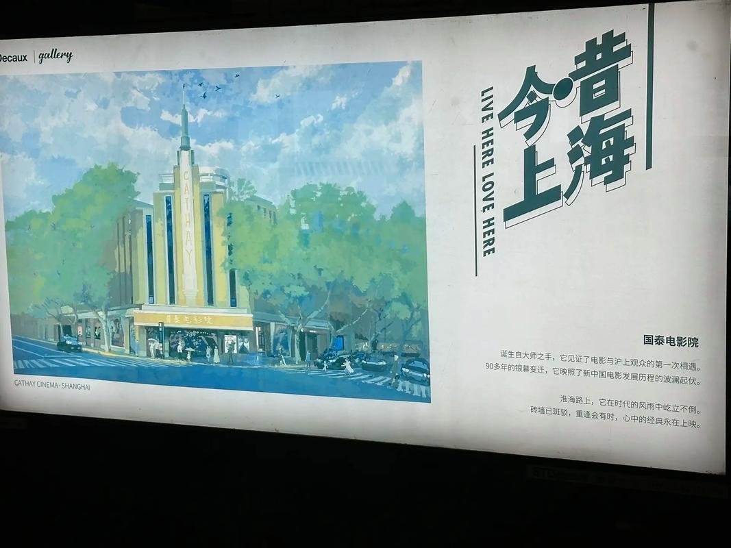 老司机影院视频免费版的相关介绍