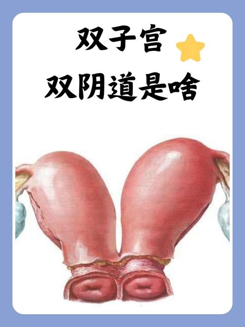 九九影院465的相关介绍
