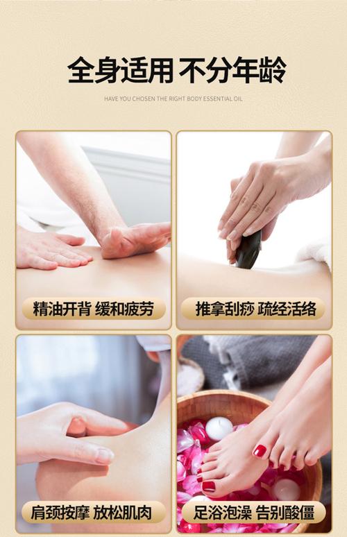 操出白浆动漫的相关介绍