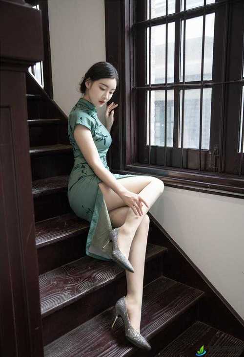 少妇无套内谢久久久久av的相关介绍