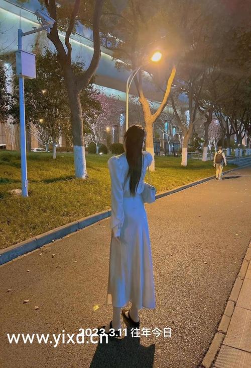 黑丝h在线观看的相关介绍