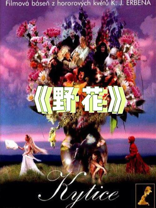 8844aa在线毛片的相关介绍