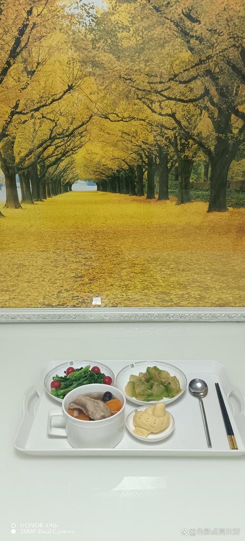 久久精品久久久精品久久的相关介绍