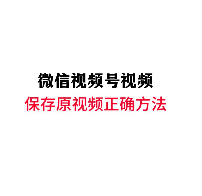 麻豆激情久久的相关介绍