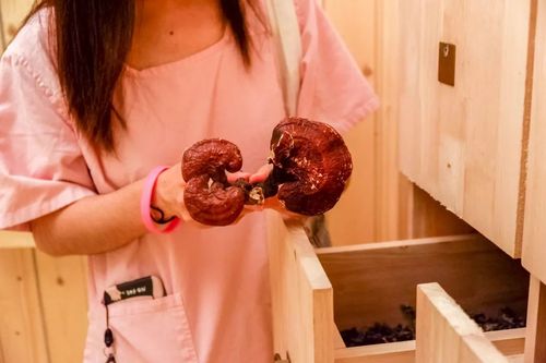 欧美老熟妇mckenzielee的相关介绍