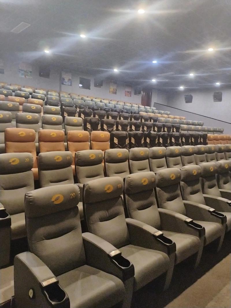 强奸乱伦电影院的相关介绍