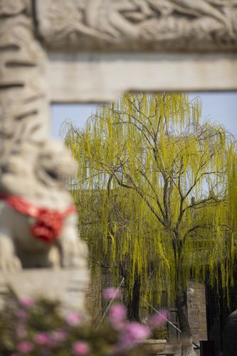 亚洲少妇一区二的相关介绍