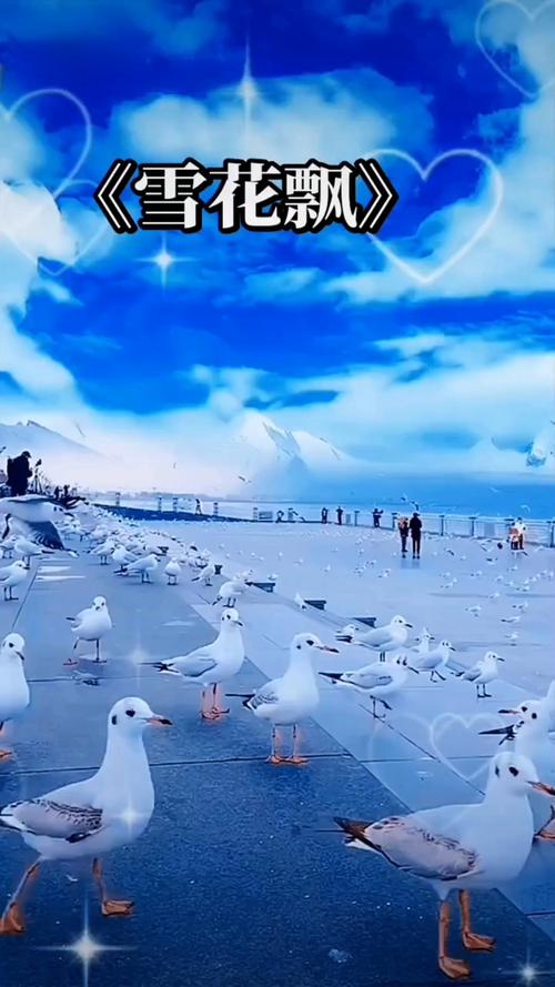 国产精品久久久久激情影院的相关介绍