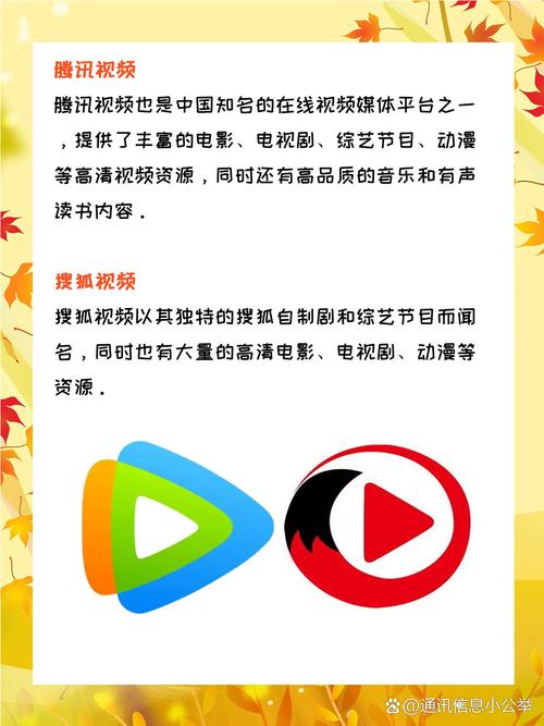 国产精品久久久久久婷婷不卡的相关介绍
