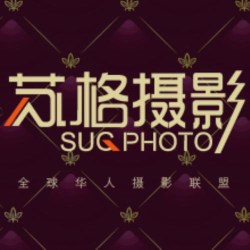 av淫片免费的相关介绍