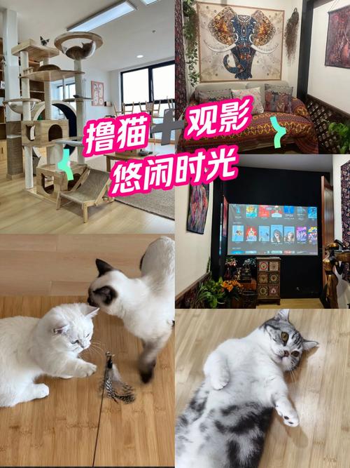 www 少妇的相关介绍