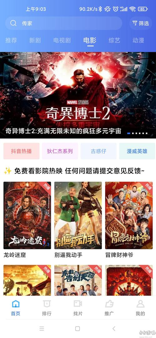 柴犬一片一片的掉毛的相关介绍