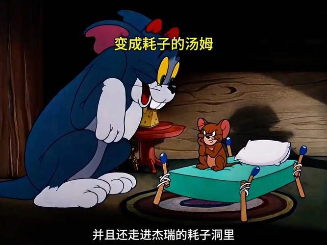 汤姆高清影院的相关介绍