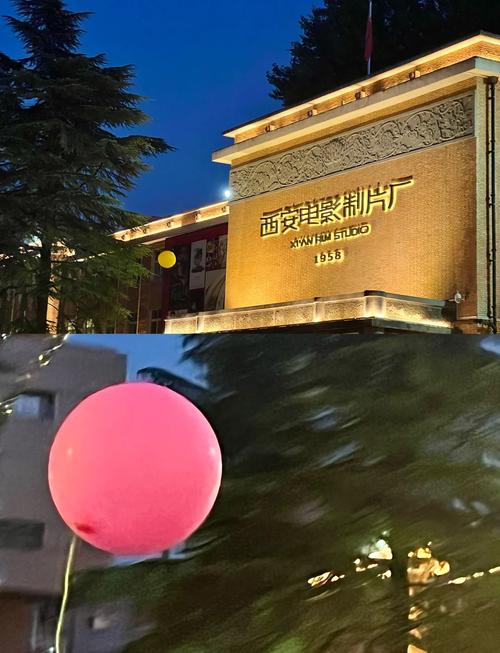 久久久少妇片的相关介绍