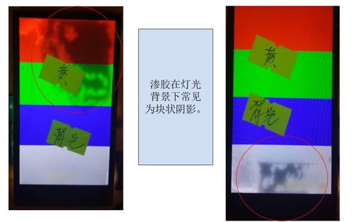 真实性事偷窥小说的相关介绍