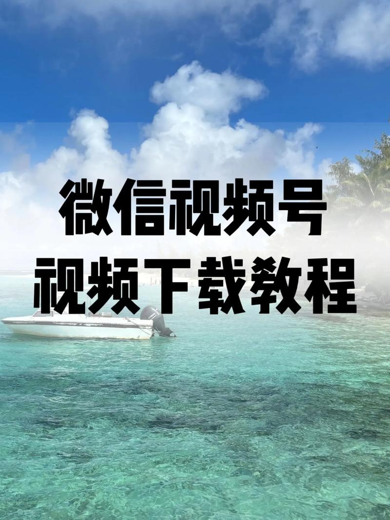 欧美日韩人妻中字的相关介绍