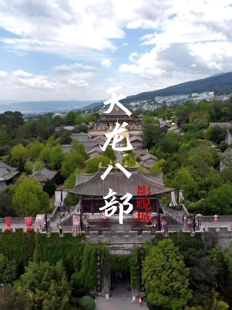 成年女人最新毛片的相关介绍
