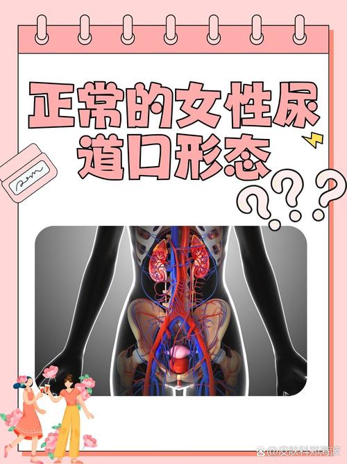 万全影院电影电视的相关介绍