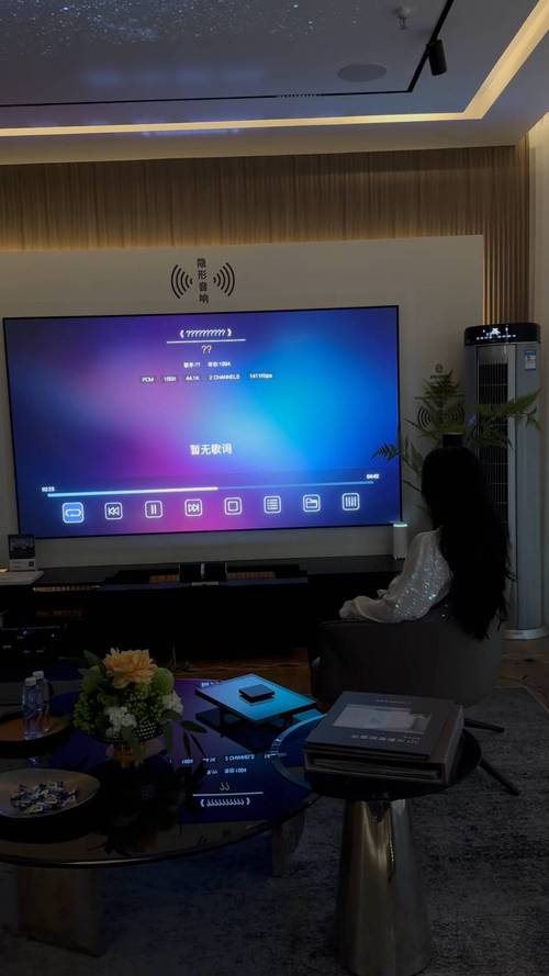 高清免费vip影院的相关介绍