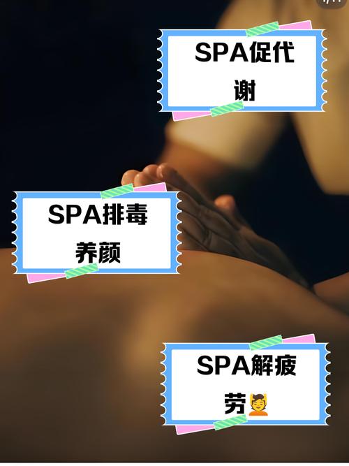 亚洲美女av毛片的相关介绍