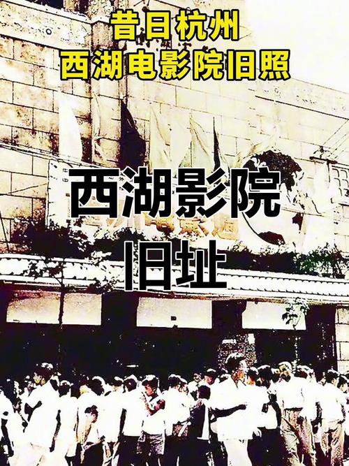 胖少妇av的相关介绍
