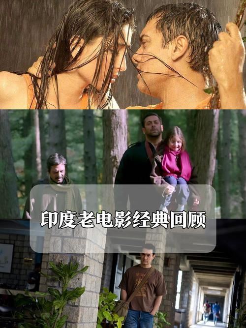 成人在线观看欧美的相关介绍
