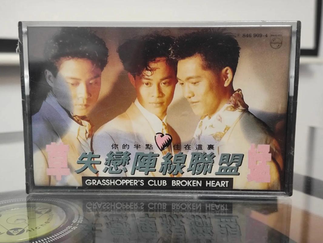 华人影院的相关介绍