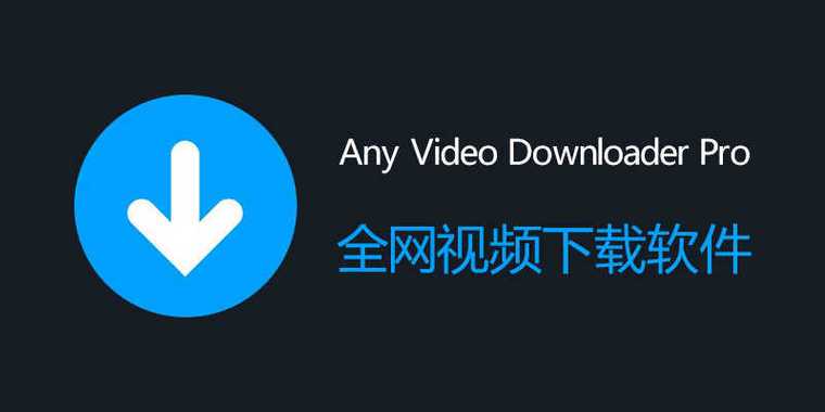 国产精品久久久久久婷婷的相关介绍