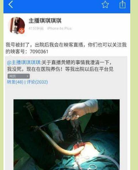 麒麟影院的相关介绍