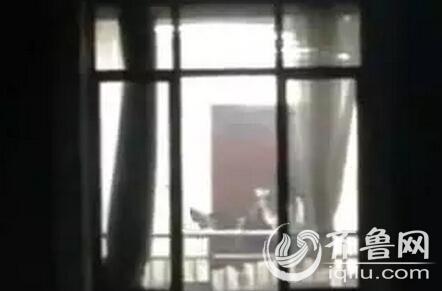 急速影院的相关介绍
