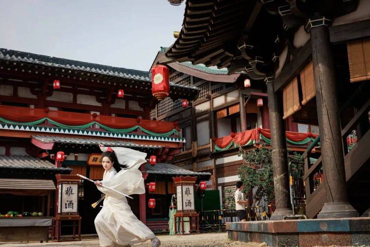 关于毛片的网站在线看的相关介绍